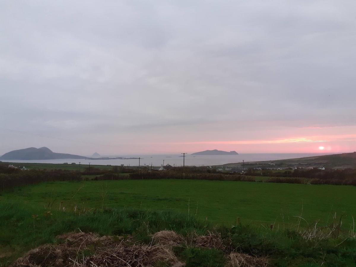 Gleann Loic Farmhouse Villa Dingle Eksteriør billede